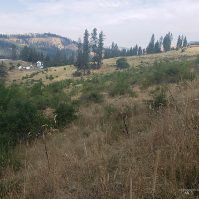 TBD CLEARWATER DRIVE, HARPSTER, ID 83552, photo 5 of 7