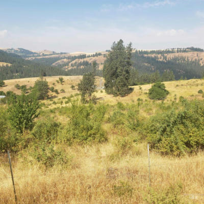 TBD CLEARWATER DRIVE, HARPSTER, ID 83552 - Image 1