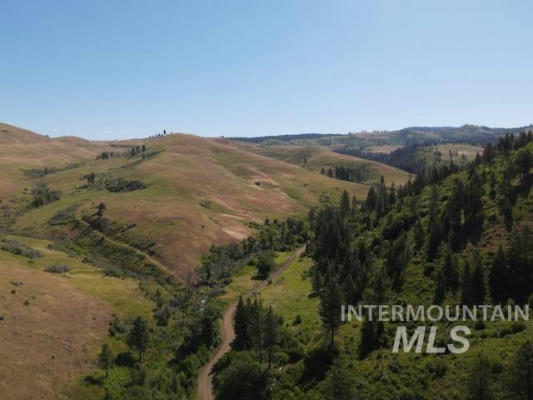 TBD NORTH GRAYS CREEK ROAD, INDIAN VALLEY, ID 83632, photo 5 of 43