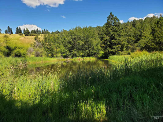 TBD LENVILLE ROAD, MOSCOW, ID 83843 - Image 1