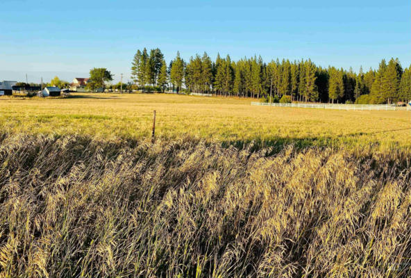 LOT 2 FOX RD, WINCHESTER, ID 83555 - Image 1