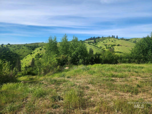 161 W LIGHTNING LOOP RD, HARPSTER, ID 83552 - Image 1