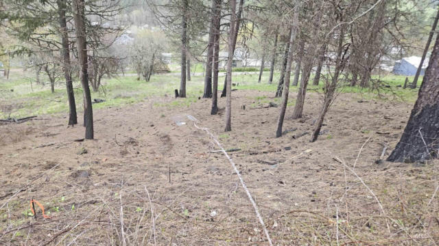 TBD MAY ST BLK 56, LOT 7, PECK, ID 83545 - Image 1