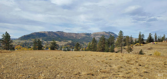 LOT 10 RIVER VIEW ESTATES, KAMIAH, ID 83536, photo 4 of 7