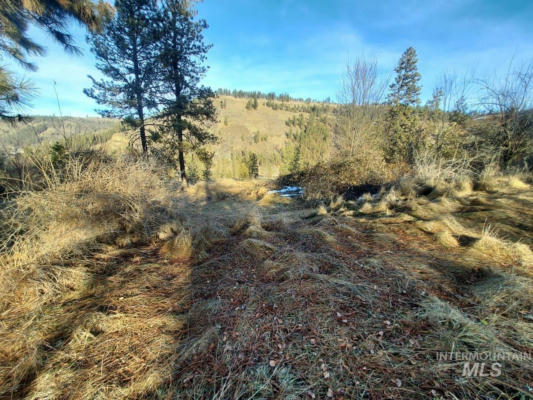 TBD LUKES GULCH RD, STITES, ID 83552 - Image 1