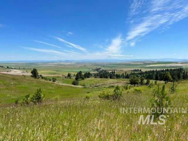 LOT 12 OVER YONDER RD, COTTONWOOD, ID 83522, photo 1 of 30