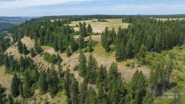 1605 JASMINE LN, PARCEL 17, WEIPPE, ID 83553, photo 4 of 8