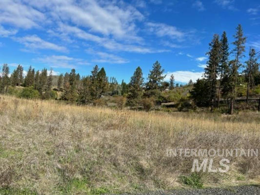 TBD LOT 1 ELK HILL ROAD, KAMIAH, ID 83536 - Image 1