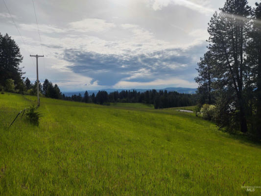 PARCEL 13 RED FIR ROAD, KOOSKIA, ID 83539, photo 4 of 4