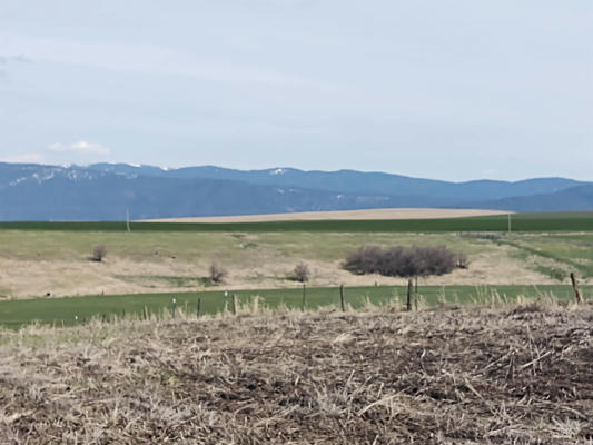 LOT 10 ANGUS RANCH ROAD, GRANGEVILLE, ID 83530, photo 5 of 6