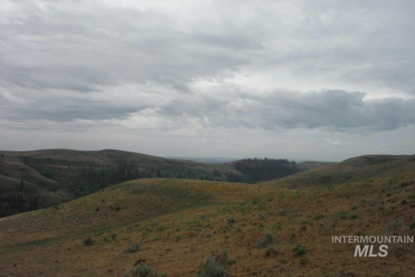 LOT 4 MIDDLE FORK RD, COUNCIL, ID 83612, photo 5 of 6