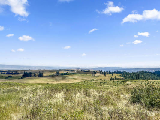 TBD KEUTERVILLE RD, COTTONWOOD, ID 83522 - Image 1