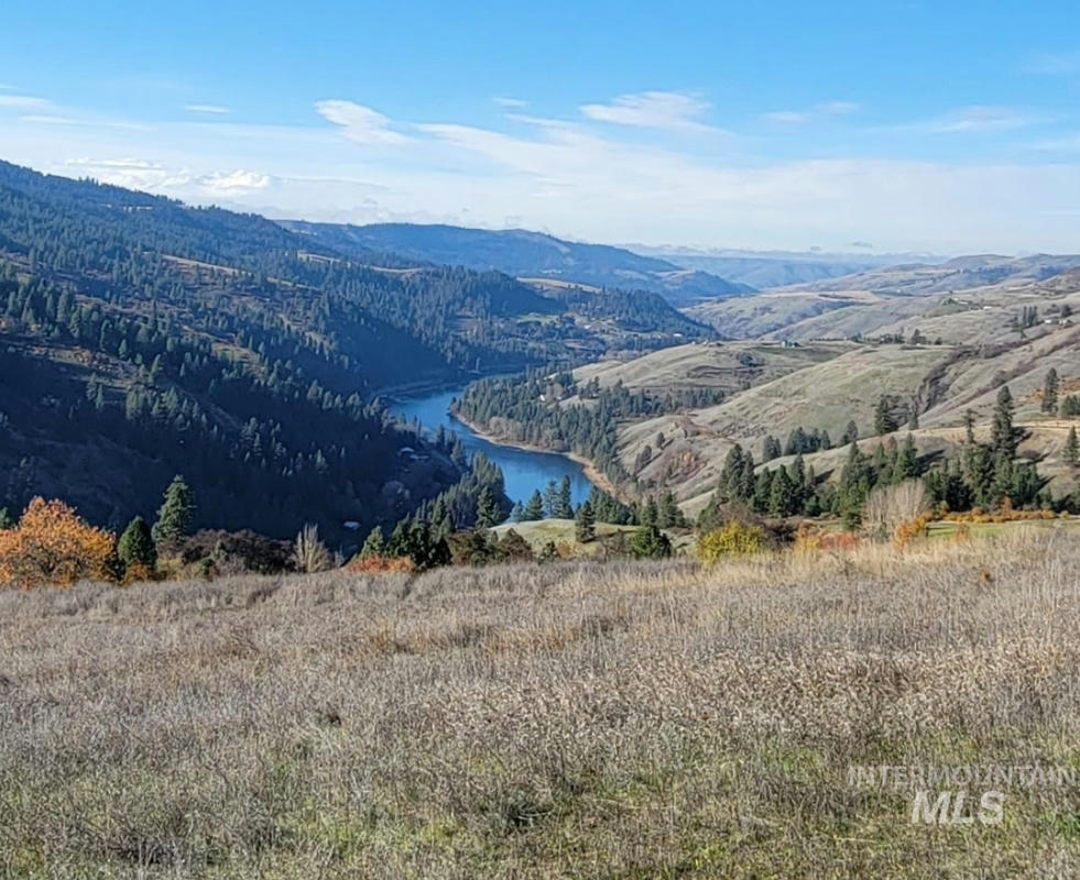 KNA LOT 1 RIVER POINTE LANE, LENORE, ID 83541, photo 1 of 11