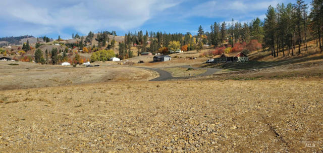 LOT 10 RIVER VIEW ESTATES, KAMIAH, ID 83536, photo 3 of 7