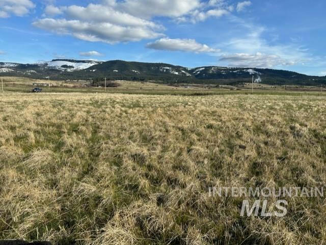 TBD PARCEL 2A WHITETAIL DR, GRANGEVILLE, ID 83530, photo 1 of 46