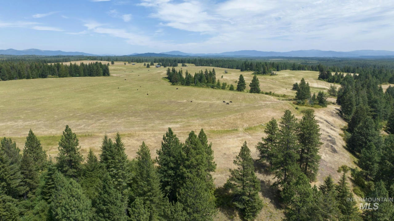 1605 JASMINE LN, PARCEL 14, WEIPPE, ID 83553, photo 1 of 5