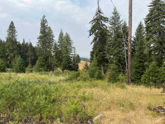 TBD PEACEFUL VALLEY ROAD, KAMIAH, ID 83536 - Image 1