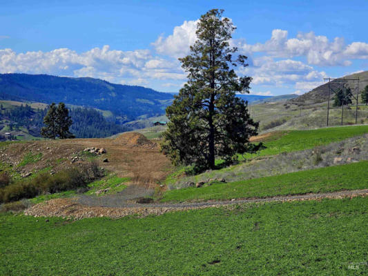 TBD LOT 5 SUNNYSIDE RANCH ADDITION, LENORE, ID 83541, photo 5 of 23