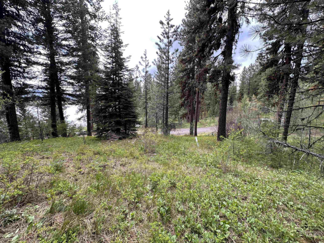 1 WILDERNESS RANCH LN, HIGH VALLEY, ID 83611, photo 1 of 11