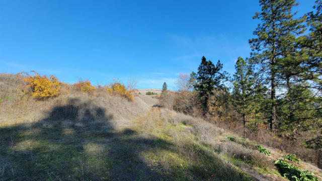 KNA LOT 1 RIVER POINTE LANE, LENORE, ID 83541, photo 3 of 11