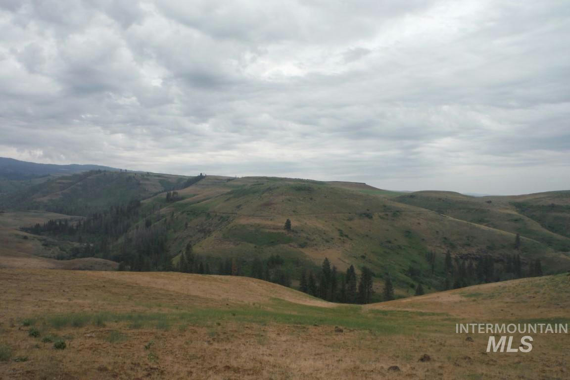 LOT 4 MIDDLE FORK RD, COUNCIL, ID 83612, photo 1 of 6