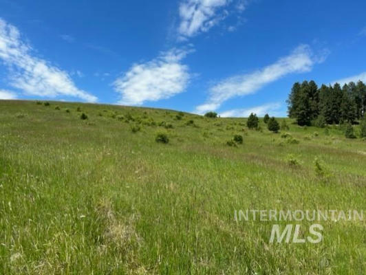 LOT 12 OVER YONDER RD, COTTONWOOD, ID 83522, photo 2 of 30