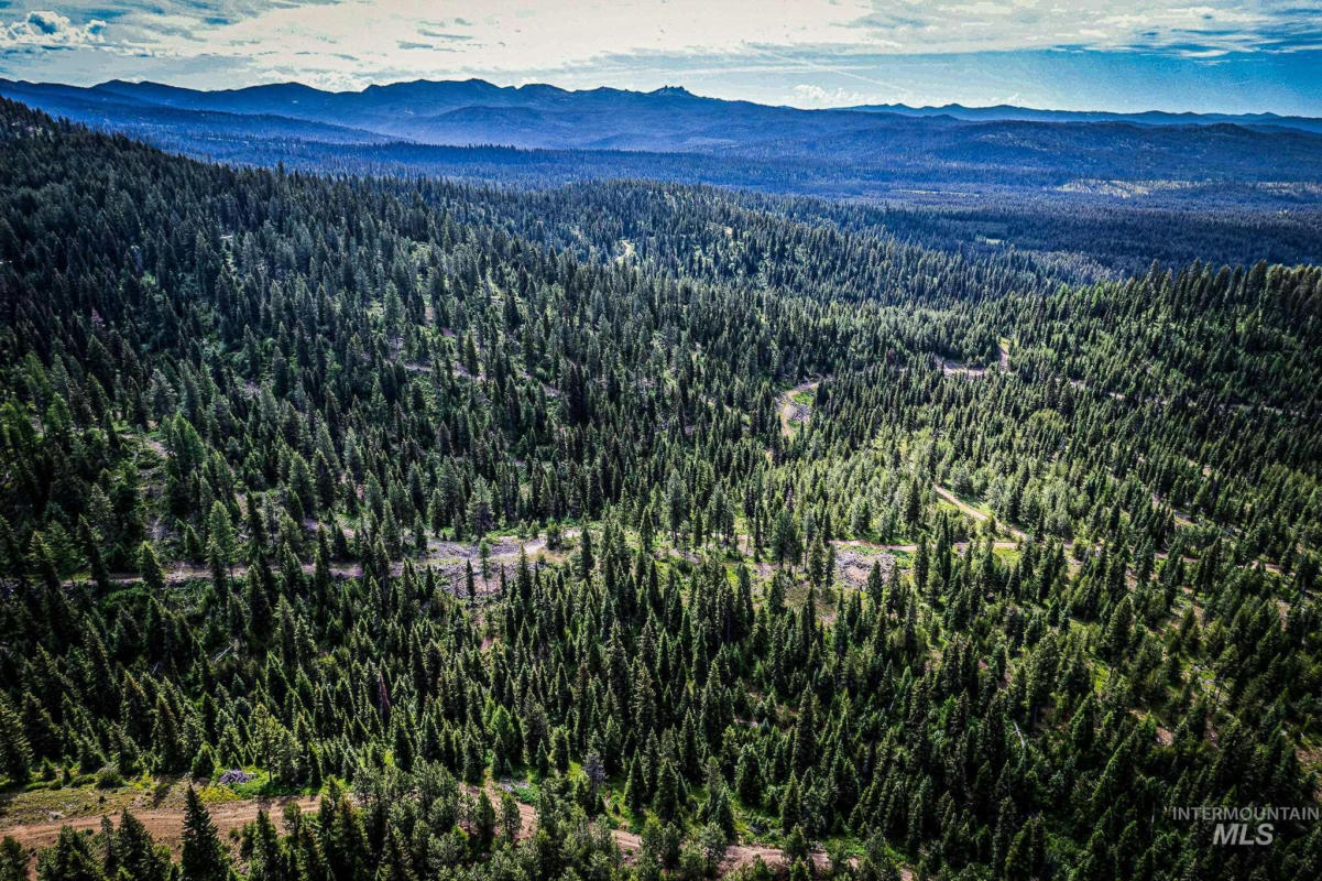 TBD PADDY FLAT, MCCALL, ID 83638, photo 1 of 12