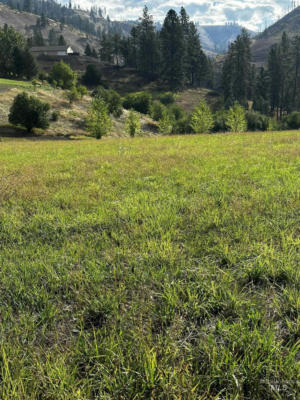 TBD AUSTREE LANE LOT 11, KAMIAH, ID 83536, photo 4 of 9