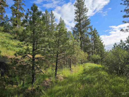TBD MIDDLE FORK RD, GARDEN VALLEY, ID 83622 - Image 1