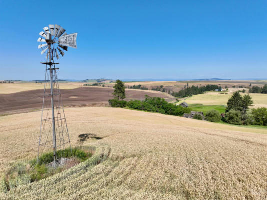 000 CENTRAL RIDGE RD, CRAIGMONT, ID 83523 - Image 1