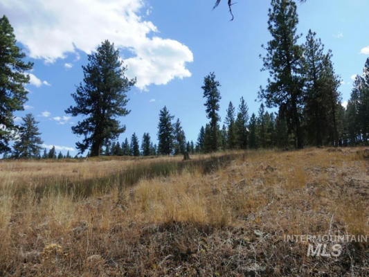 LOT 24 TIMBER RIDGE, NEW MEADOWS, ID 83654, photo 4 of 17