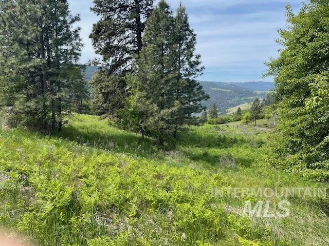 TBD SUNNYSIDE BENCH RD., LENORE, ID 83541, photo 1 of 11