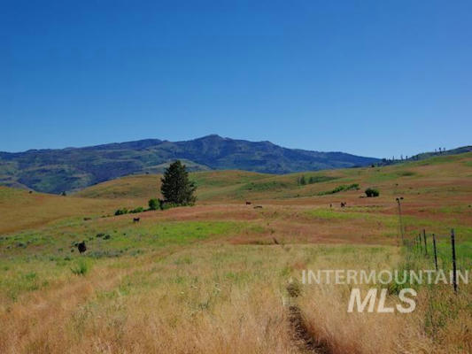 TBD NORTH GRAYS CREEK ROAD, INDIAN VALLEY, ID 83632 - Image 1