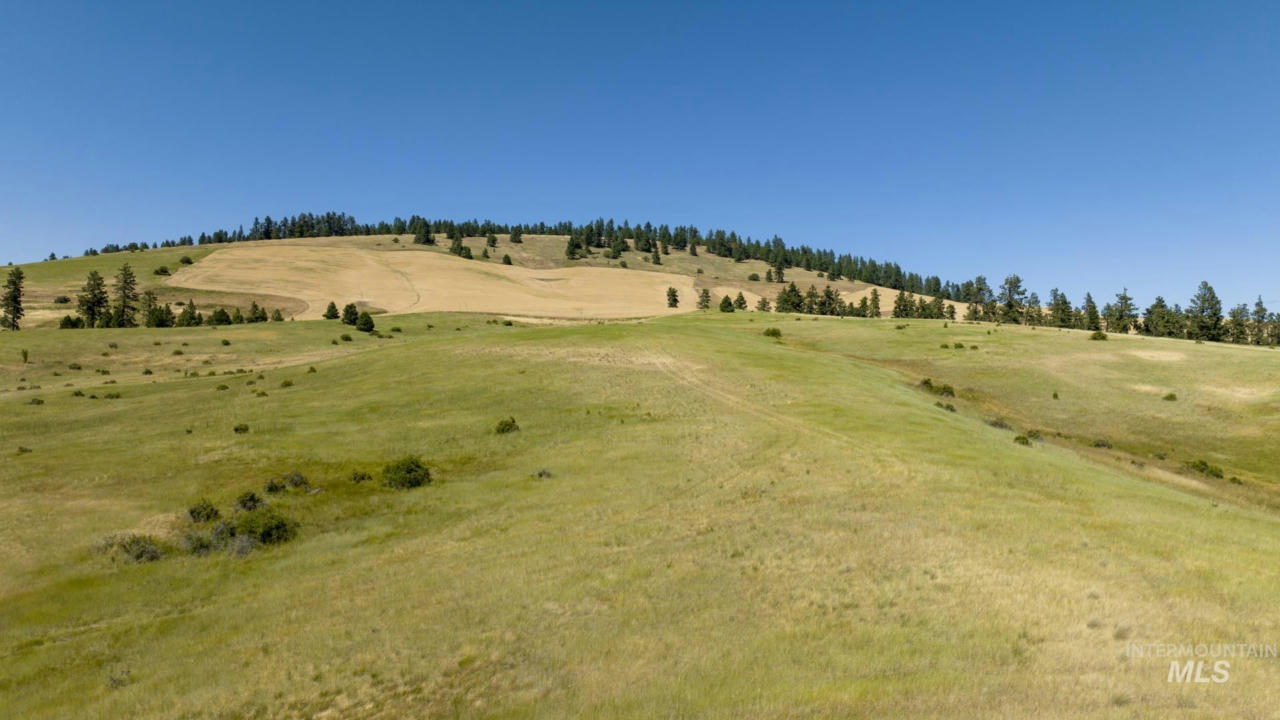 TBD PARCEL # 2 LENVILLE, MOSCOW, ID 83843, photo 1 of 22