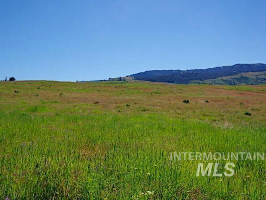 TBD NORTH GRAYS CREEK ROAD, INDIAN VALLEY, ID 83632, photo 4 of 43